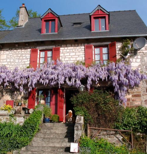 Saint-Bonnet-la-Rivière Corrèze huis met gîte foto