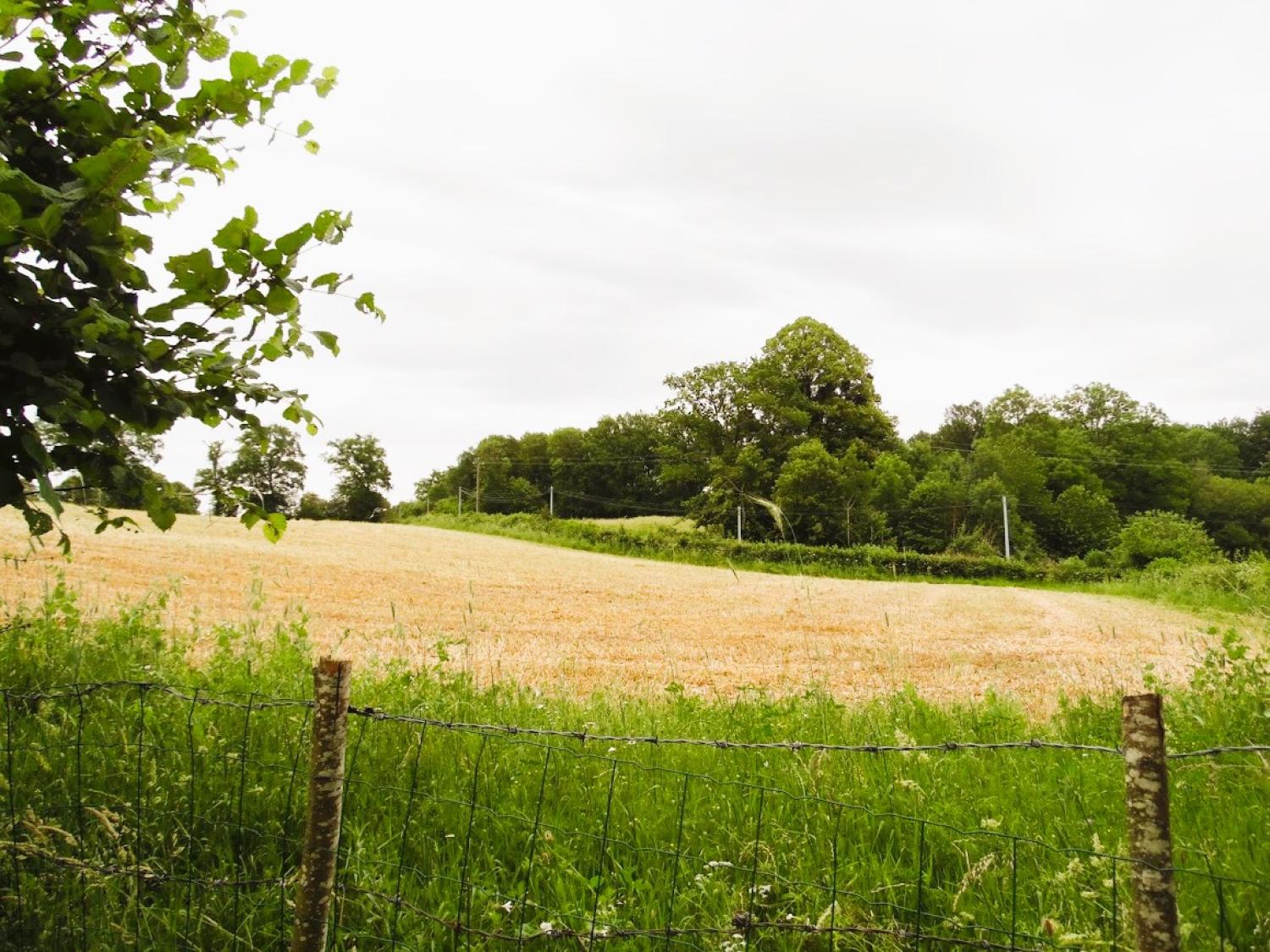 huis te koop Les Mars, Creuse ( Nouvelle-Aquitaine) foto 24