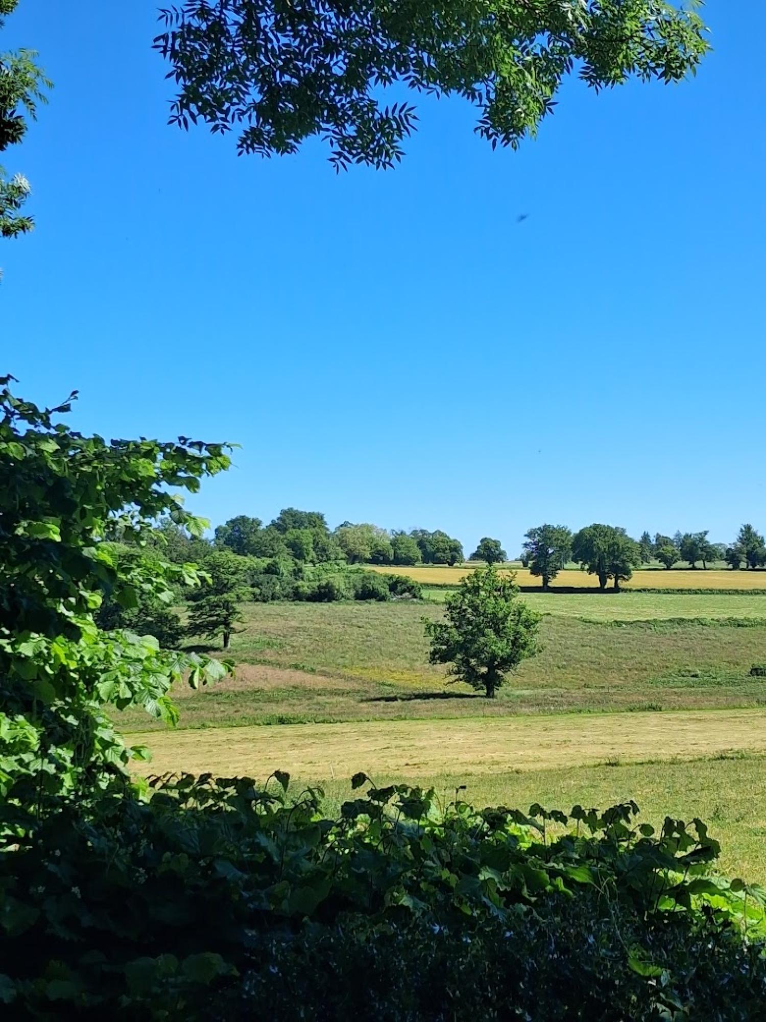 vrijstaand te koop Préveranges, Cher ( Centre-Val de Loire) foto 40