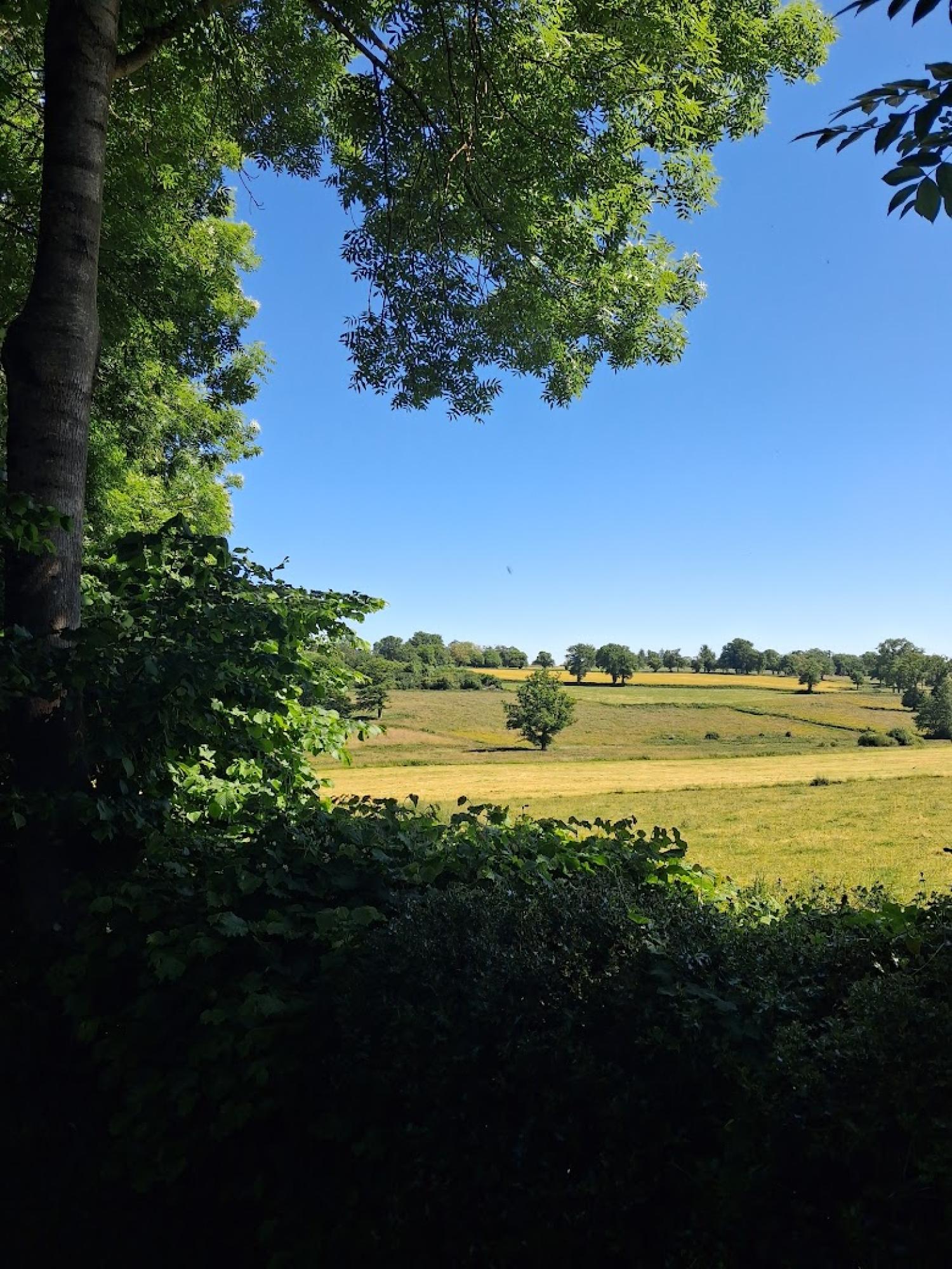 vrijstaand te koop Préveranges, Cher ( Centre-Val de Loire) foto 41