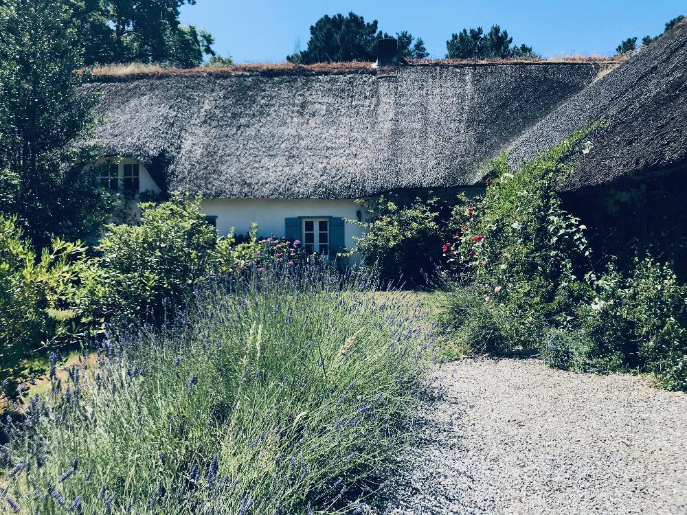 te koop huis Herbignac Pays de la Loire 1