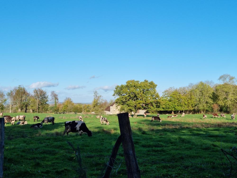  te koop vrijstaand Argentan Orne 6