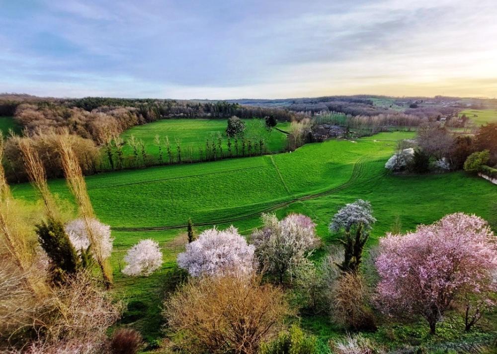  te koop huis Hautefort Dordogne 10