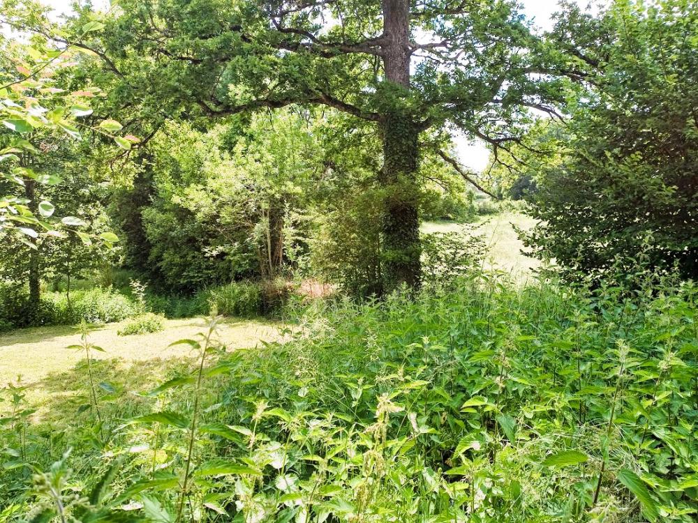 maison à vendre Champagnat, Creuse (Limousin) photo 32