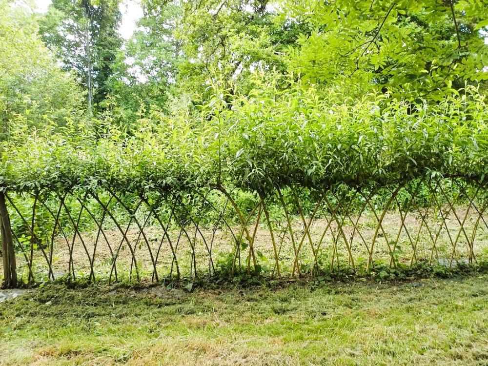 maison à vendre Champagnat, Creuse (Limousin) photo 36