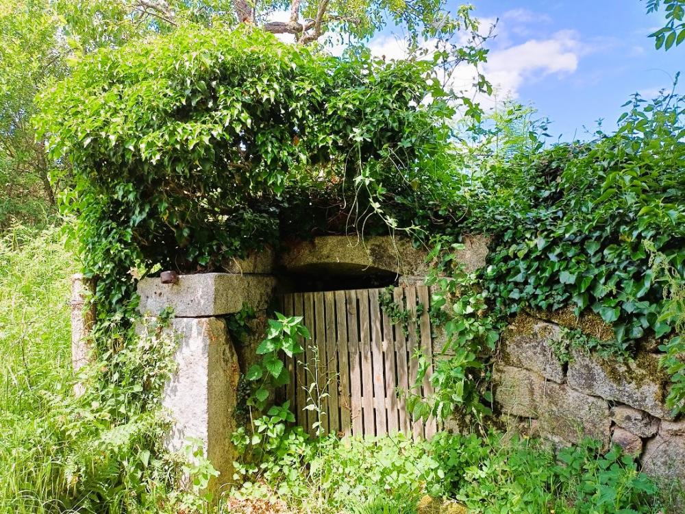 maison à vendre Champagnat, Creuse (Limousin) photo 18