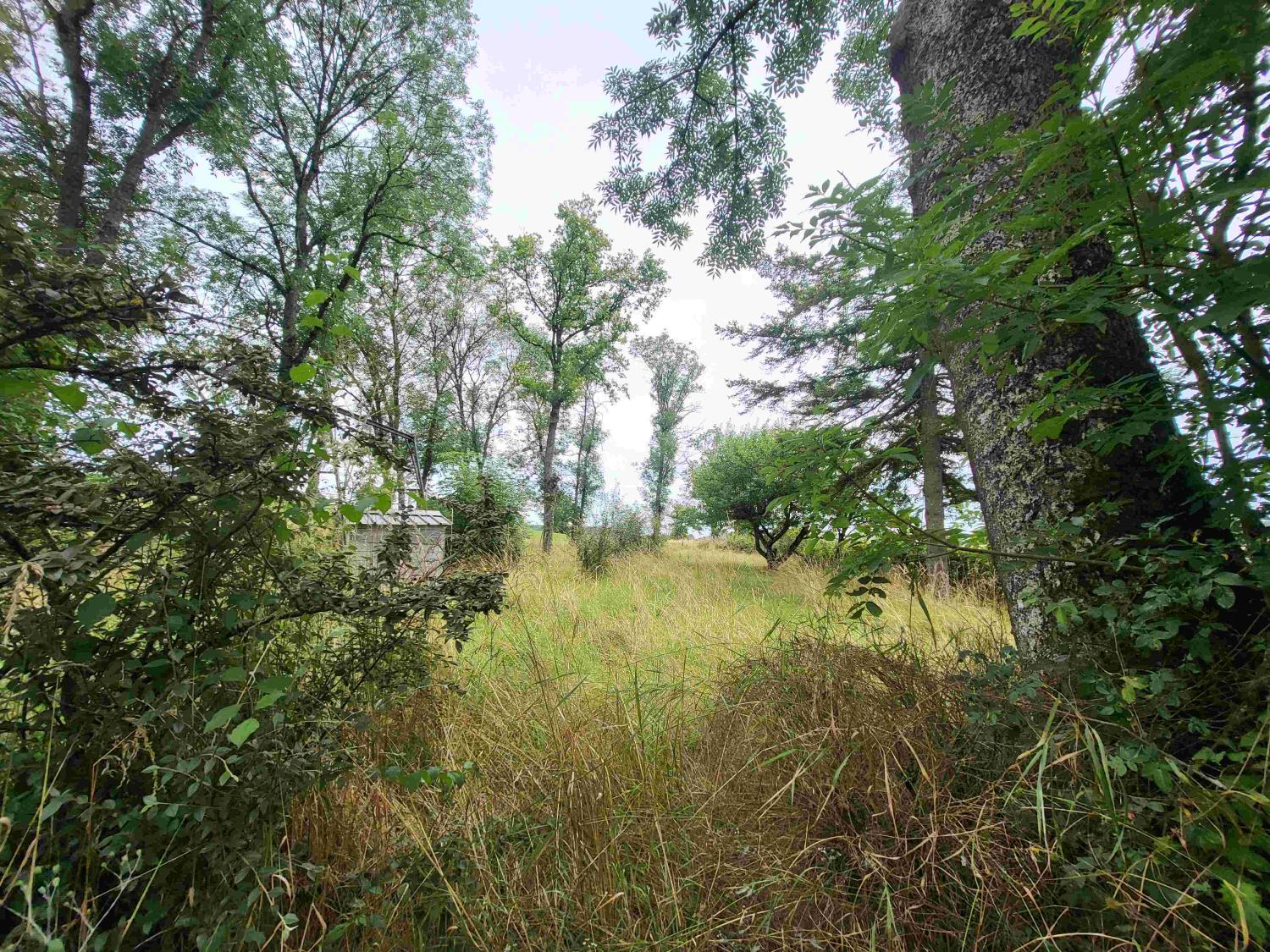  te koop huis Diennes-Aubigny Nièvre 6