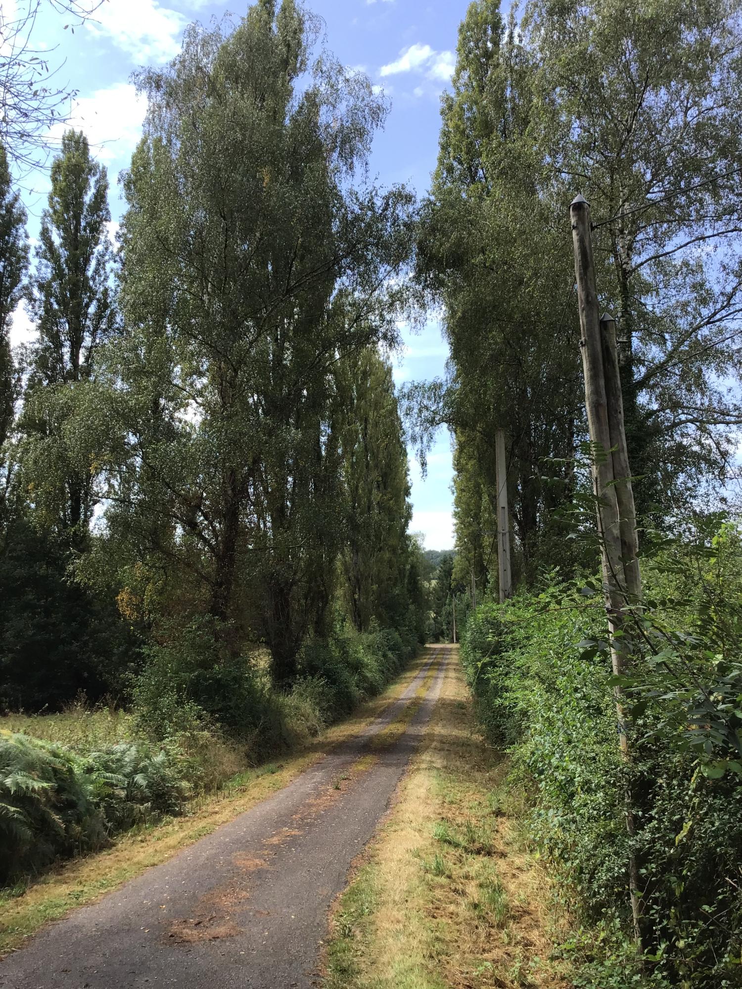  te koop vrijstaand Abzac Charente 4
