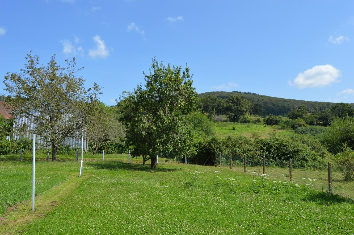  te koop huis Saint-Honoré-Les-Bains Nièvre 6