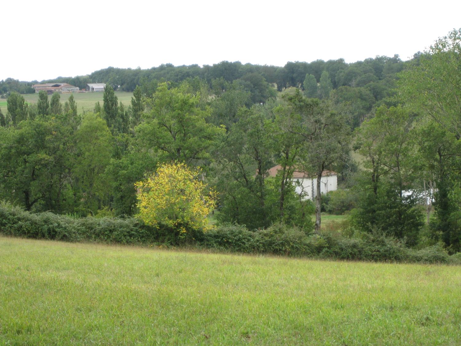  te koop vrijstaand Abzac Charente 3