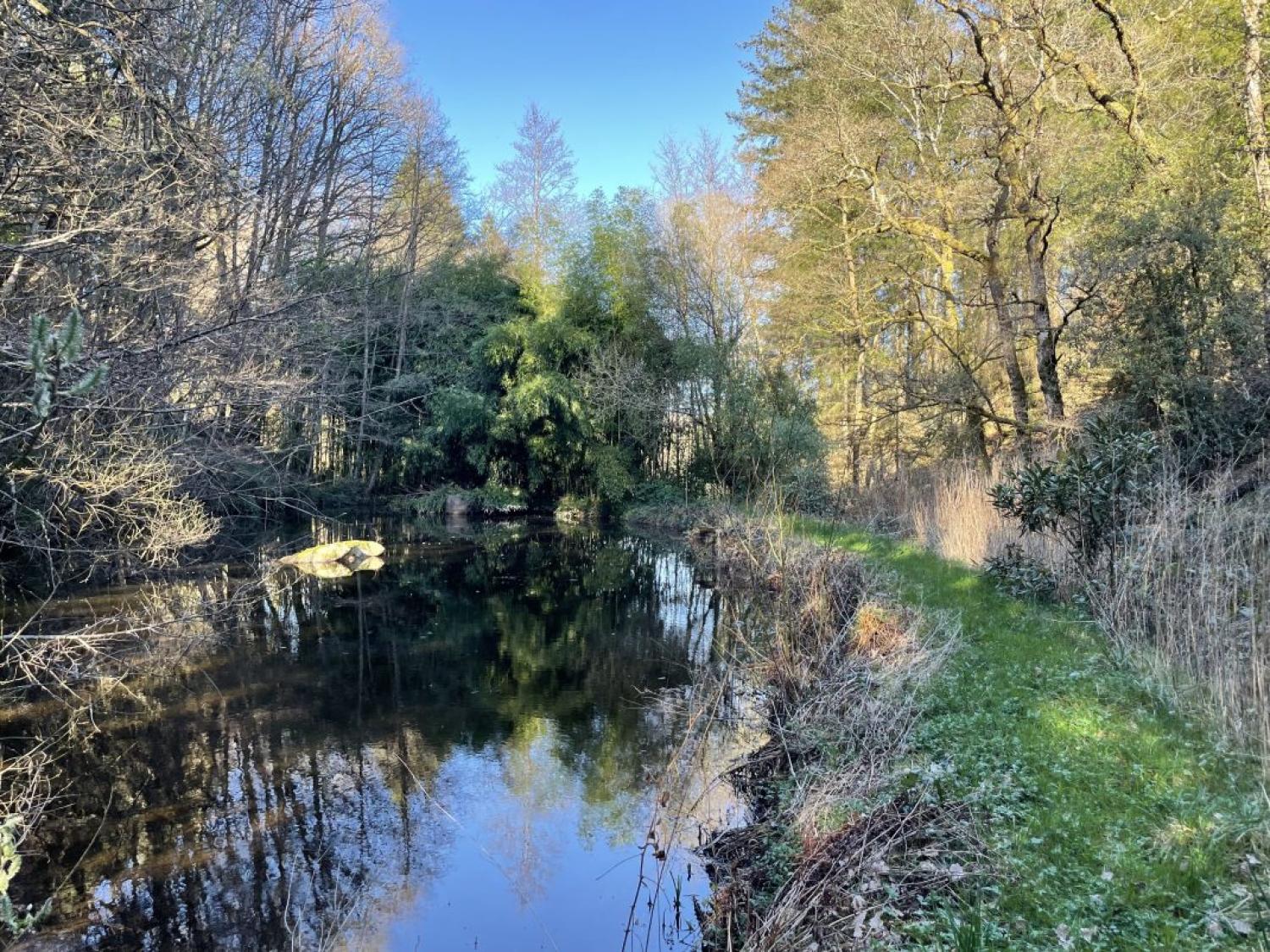  te koop vrijstaand Peyrat-le-Château Haute-Vienne 16