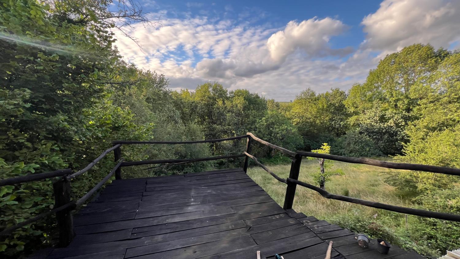  te koop boerderij Pampelonne Tarn 7
