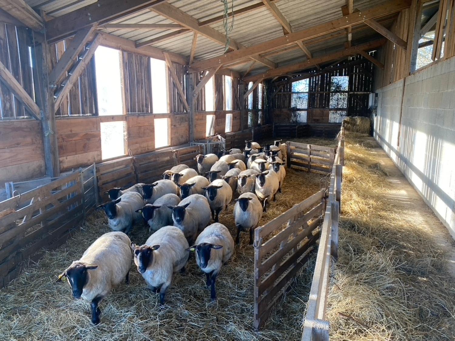  te koop boerderij Saint-Yrieix-la-Perche Haute-Vienne 8