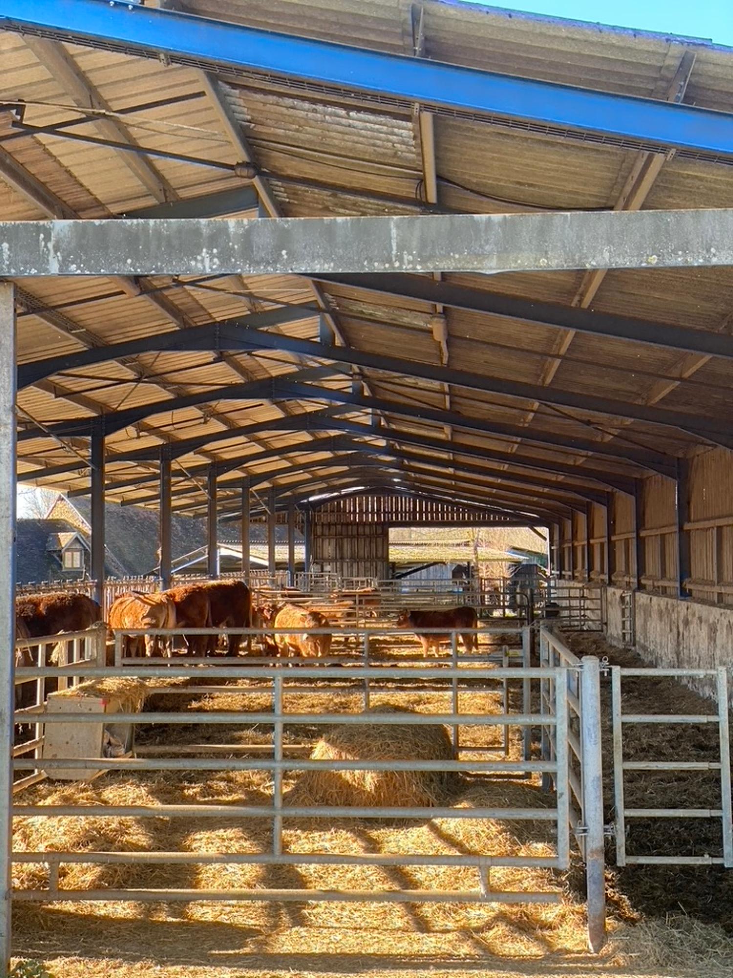  te koop boerderij Saint-Yrieix-la-Perche Haute-Vienne 6