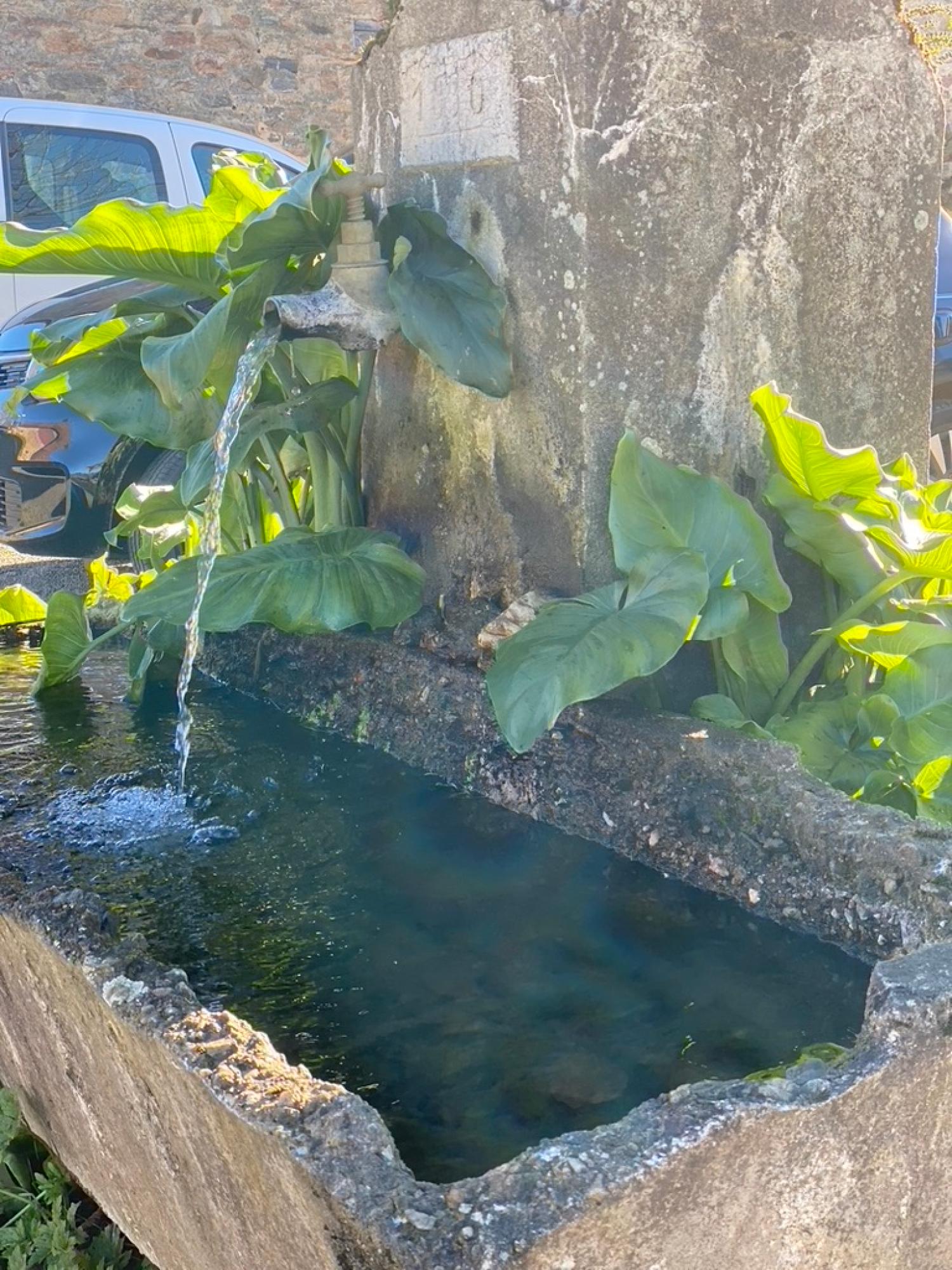  te koop boerderij Saint-Yrieix-la-Perche Haute-Vienne 12