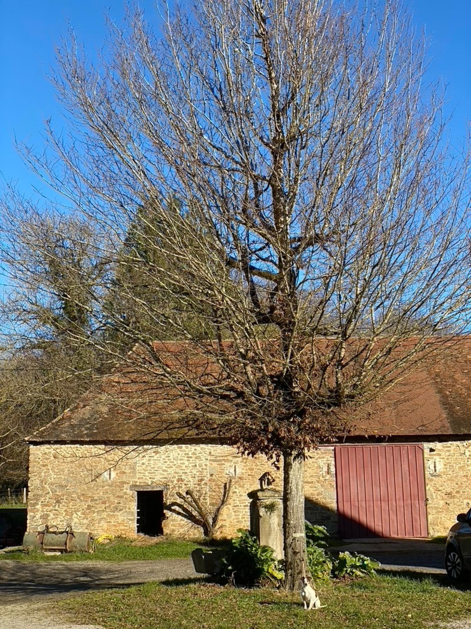  te koop boerderij Saint-Yrieix-la-Perche Haute-Vienne 4