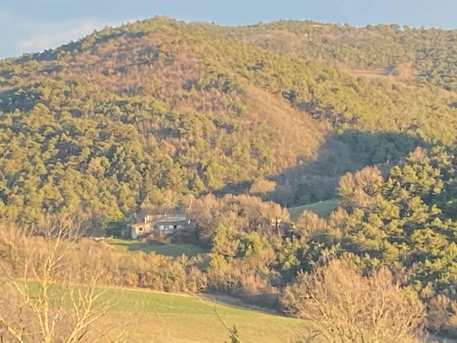  te koop huis met gîte Forcalquier Alpes-de-Haute-Provence 31