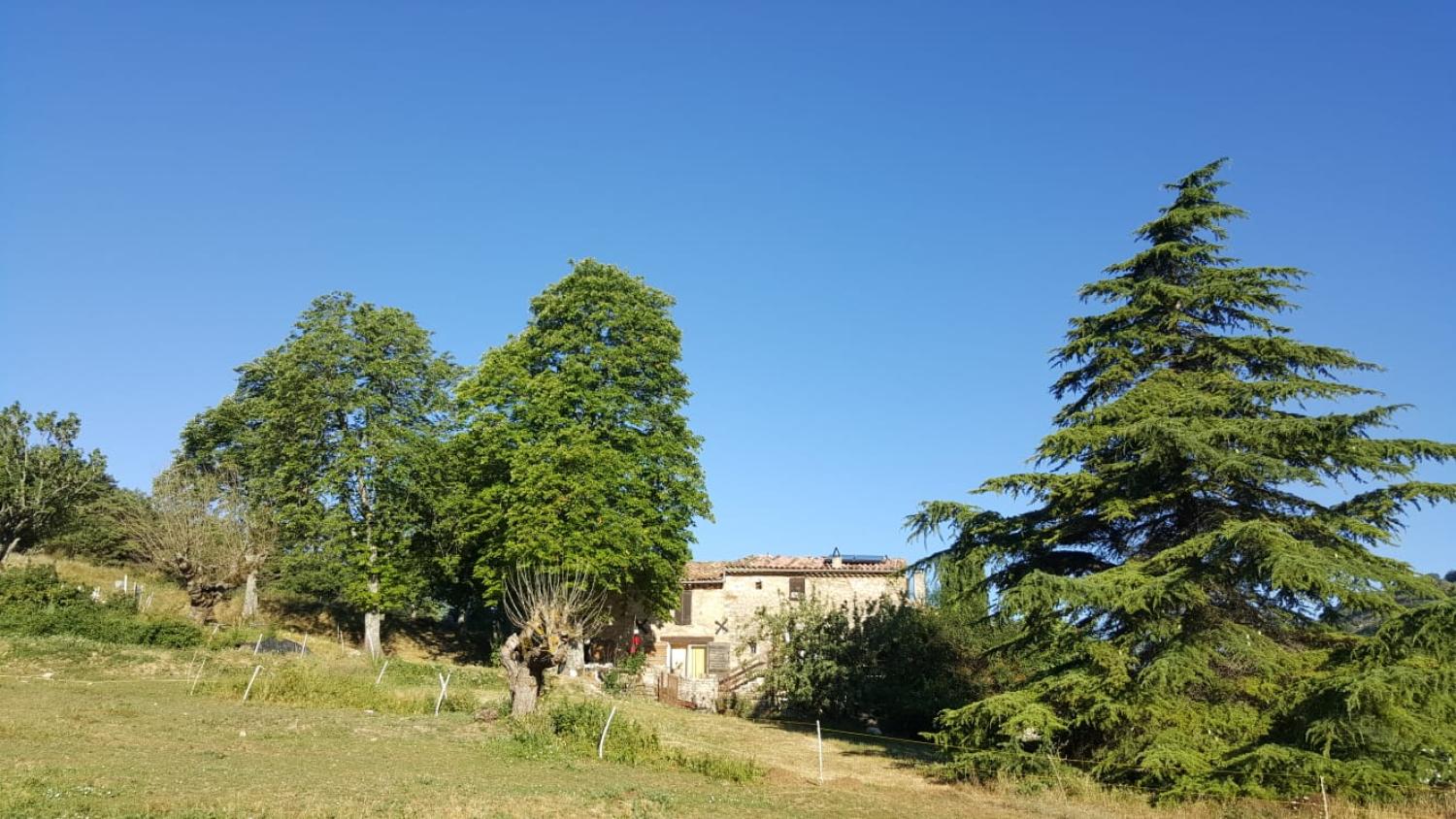 Forcalquier Alpes-de-Haute-Provence huis met gîte foto 6847270