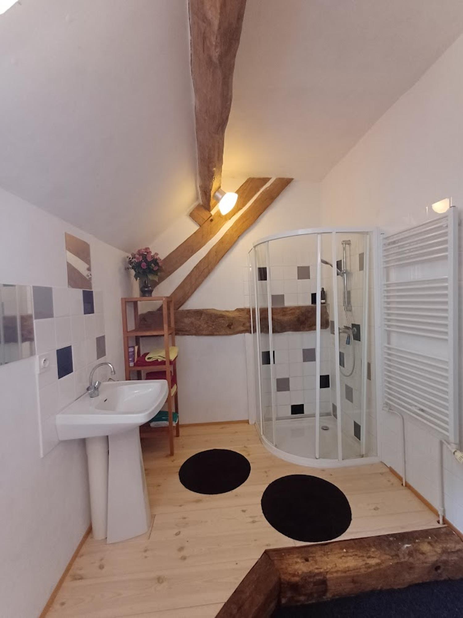  te koop huis Touchay Cher 17