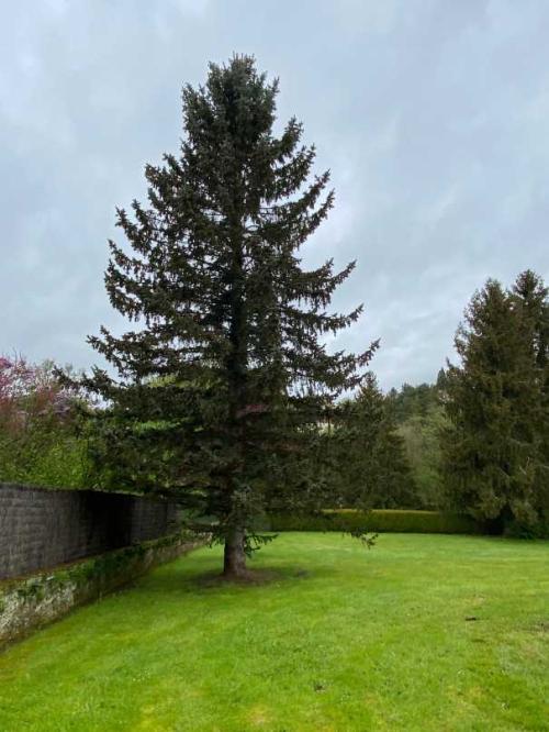  te koop herenhuis Monthureux-sur-Saône Vogezen 41