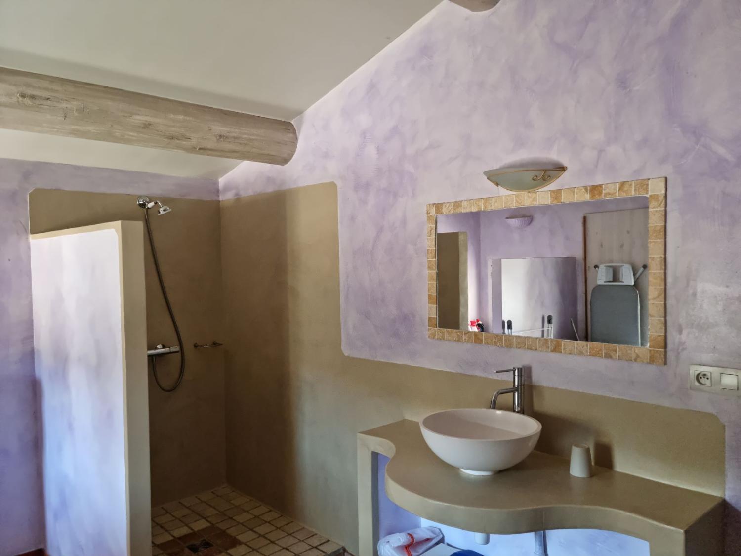  te koop huis met gîte Banon Alpes-de-Haute-Provence 48