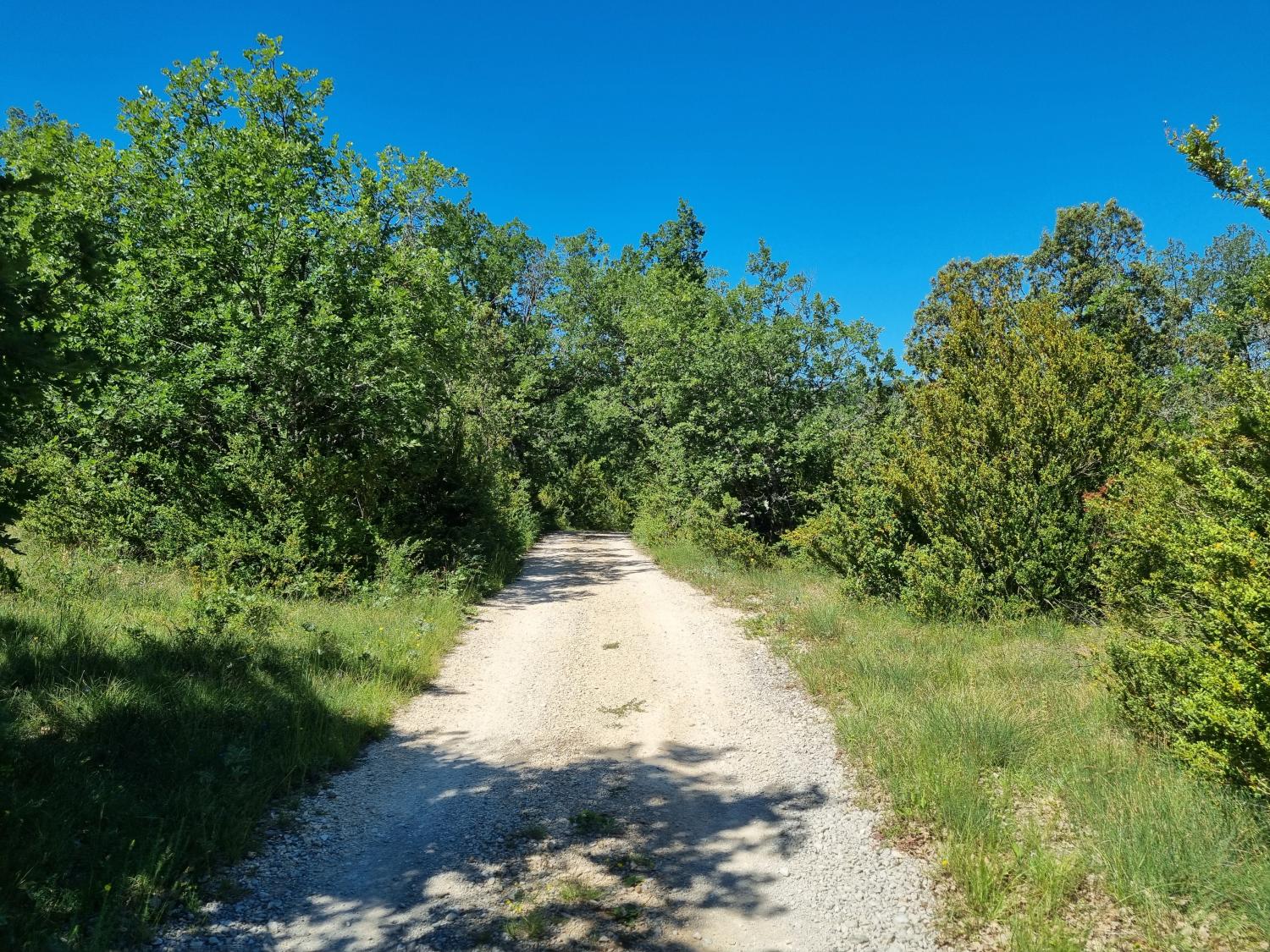  te koop huis met gîte Banon Alpes-de-Haute-Provence 57
