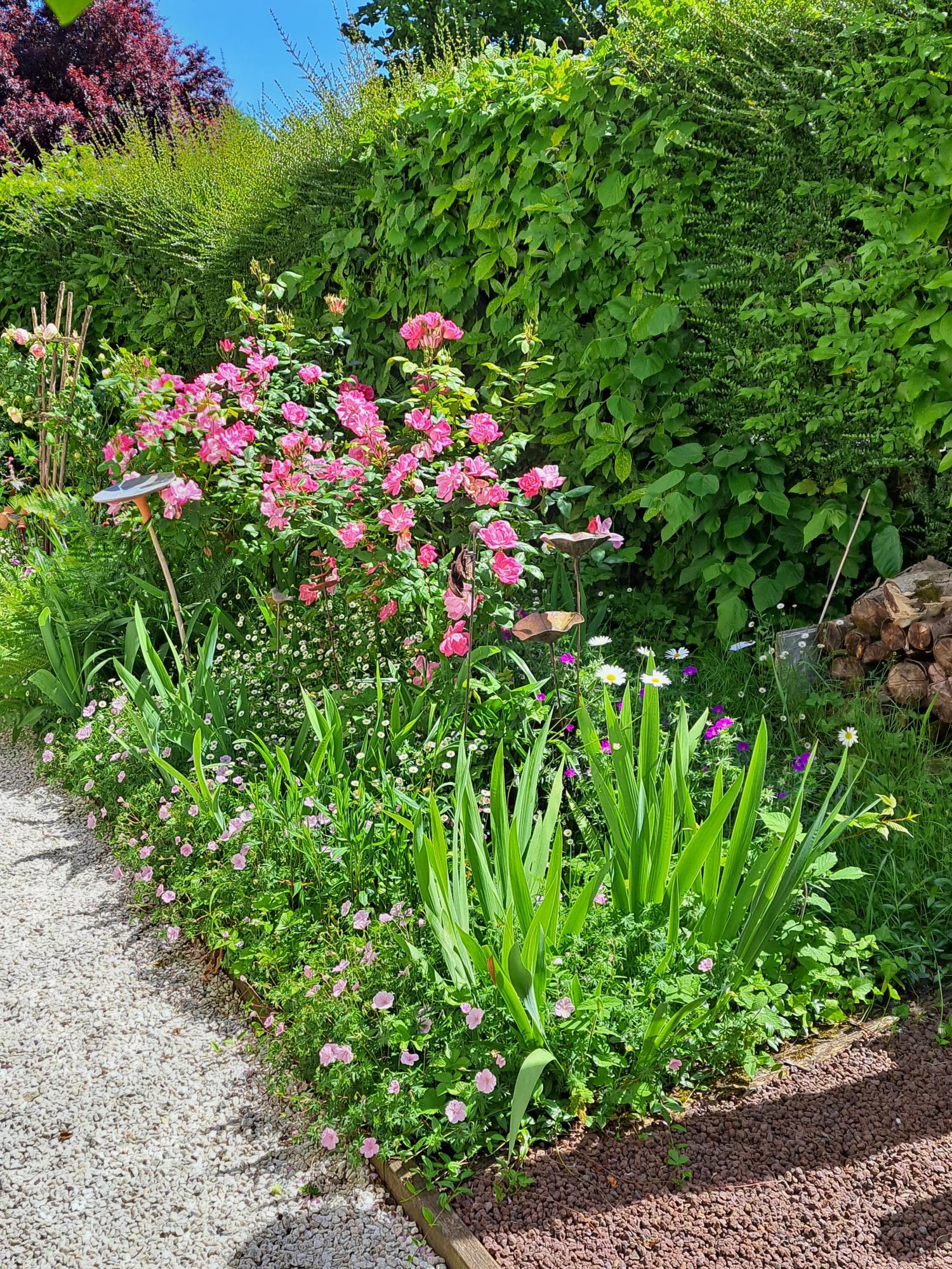  te koop huis met gîte Avranches Manche 14