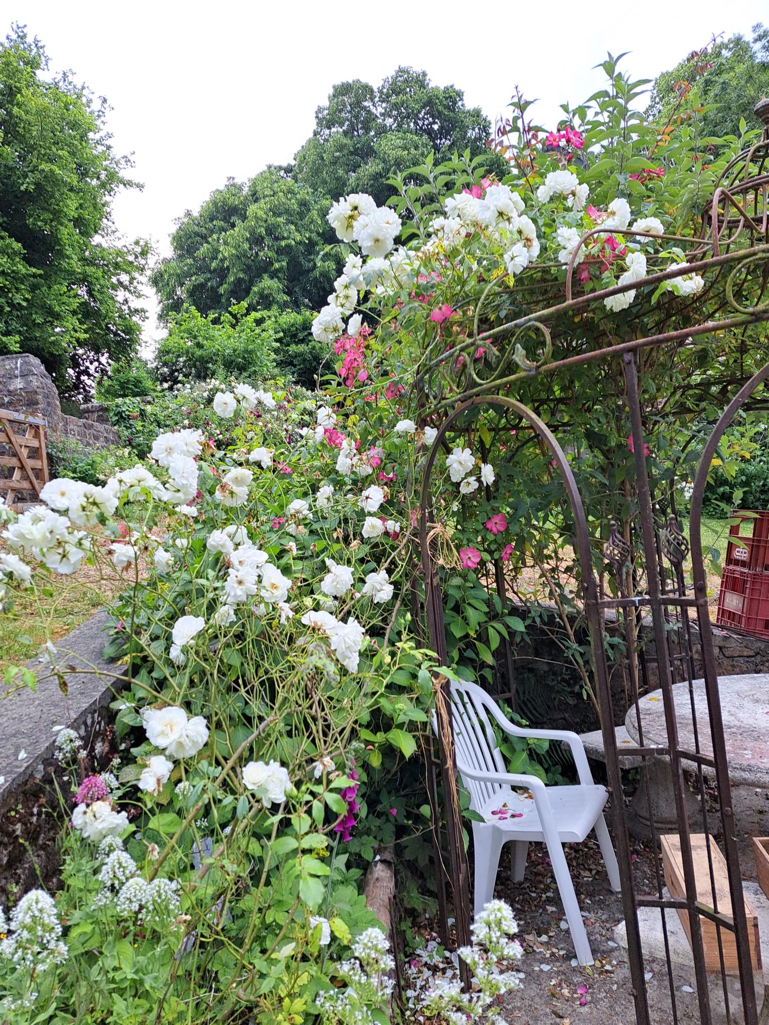 te koop huis met gîte Avranches Manche 43