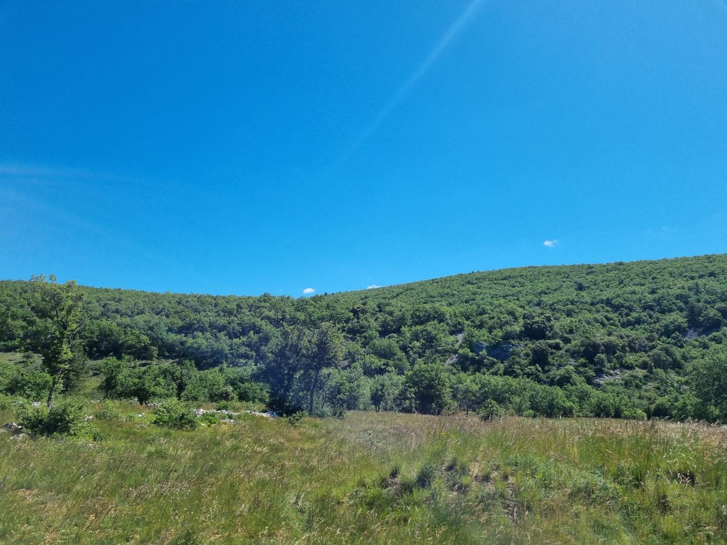  te koop huis met gîte Banon Alpes-de-Haute-Provence 51
