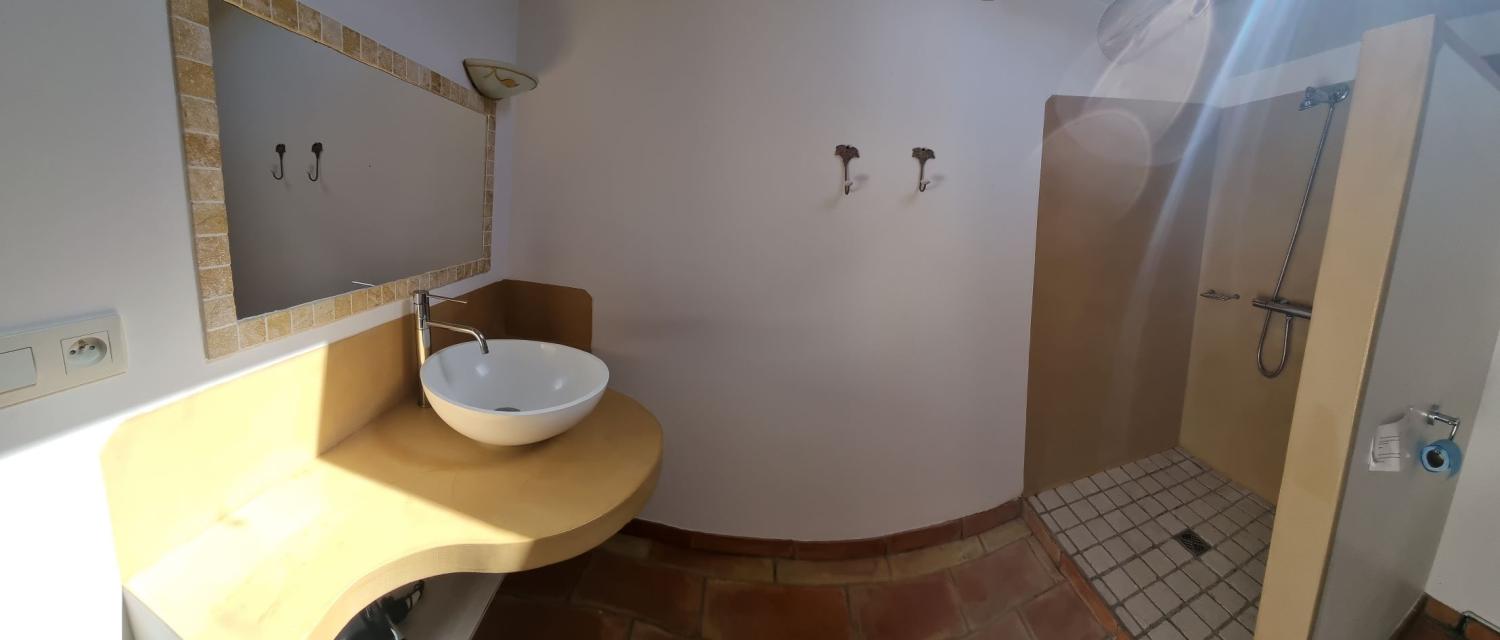  te koop huis met gîte Banon Alpes-de-Haute-Provence 44