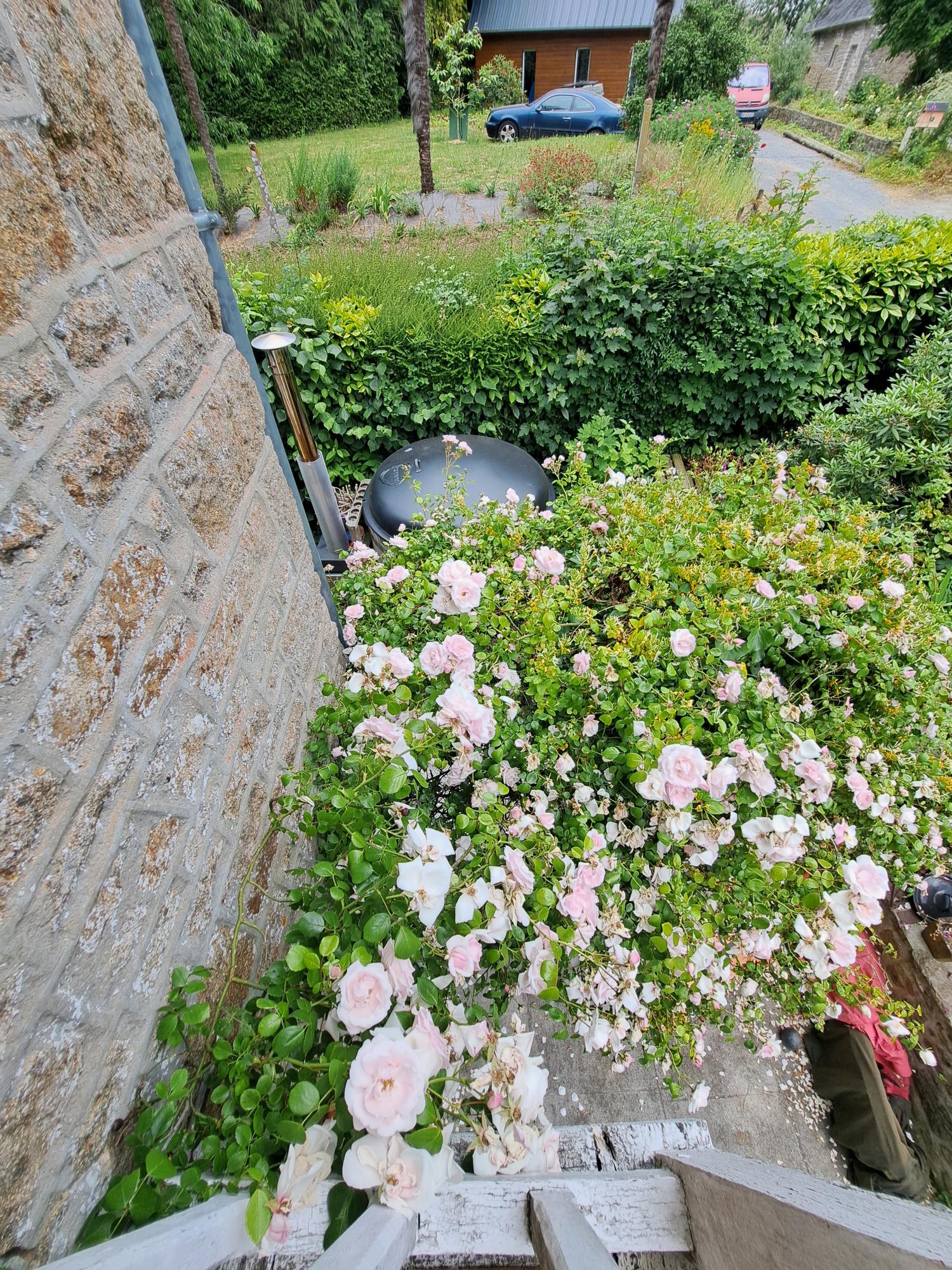  te koop huis met gîte Avranches Manche 42