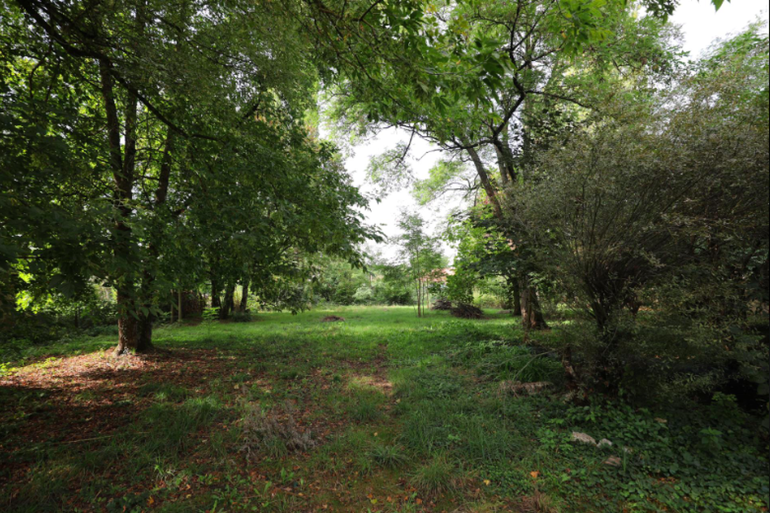  te koop herenhuis Fresne-Saint-Mamès Haute-Saône 10