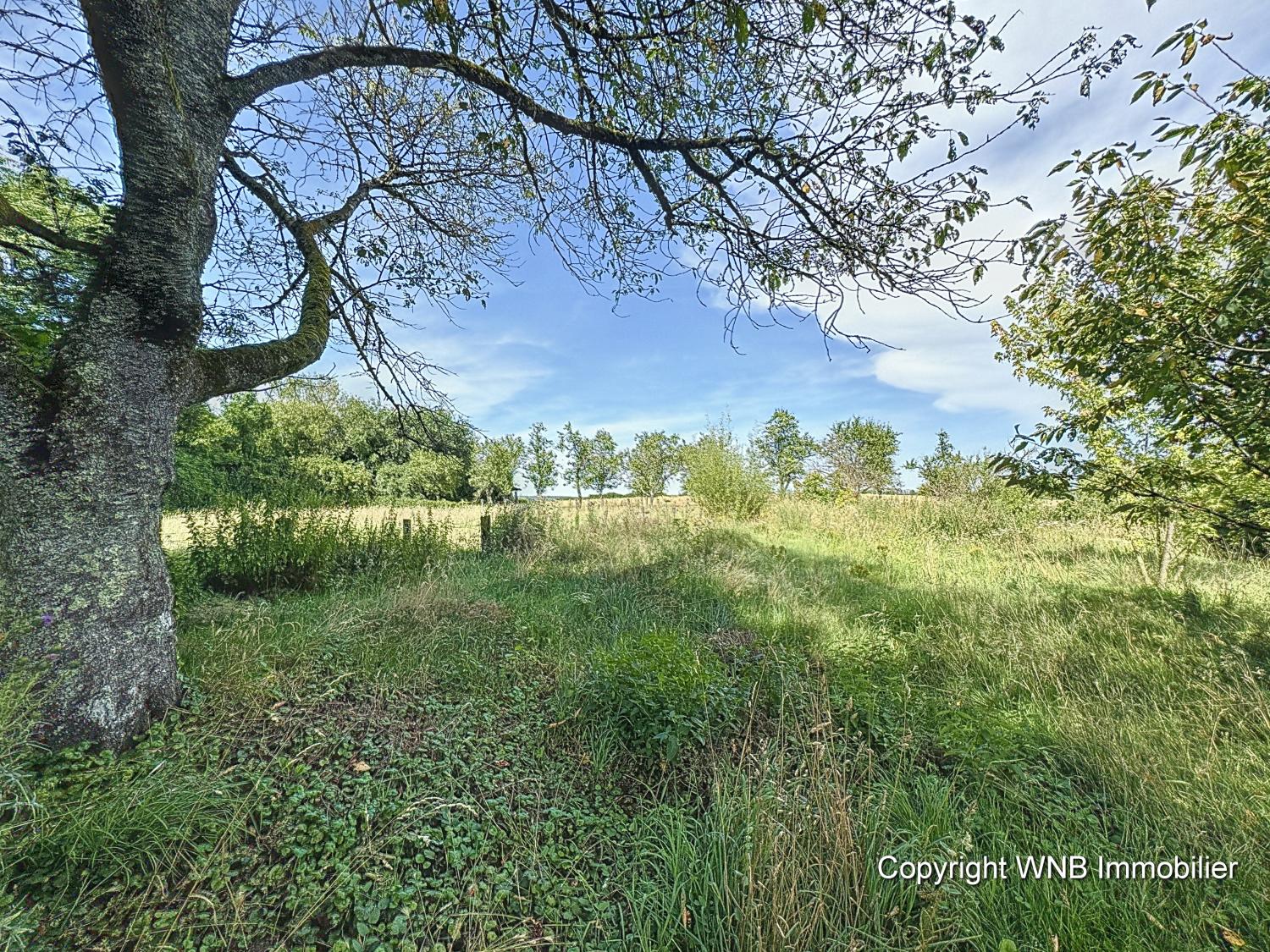  te koop eco huis Laferté-sur-Amance Haute-Marne 13