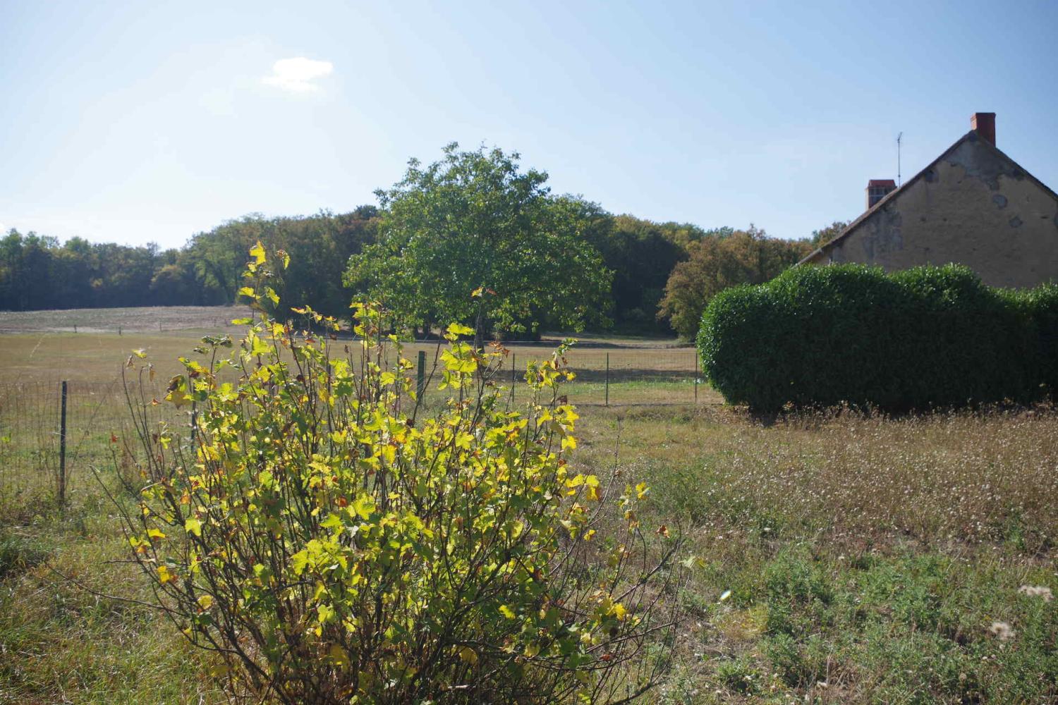  te koop huis Rouy Nièvre 4