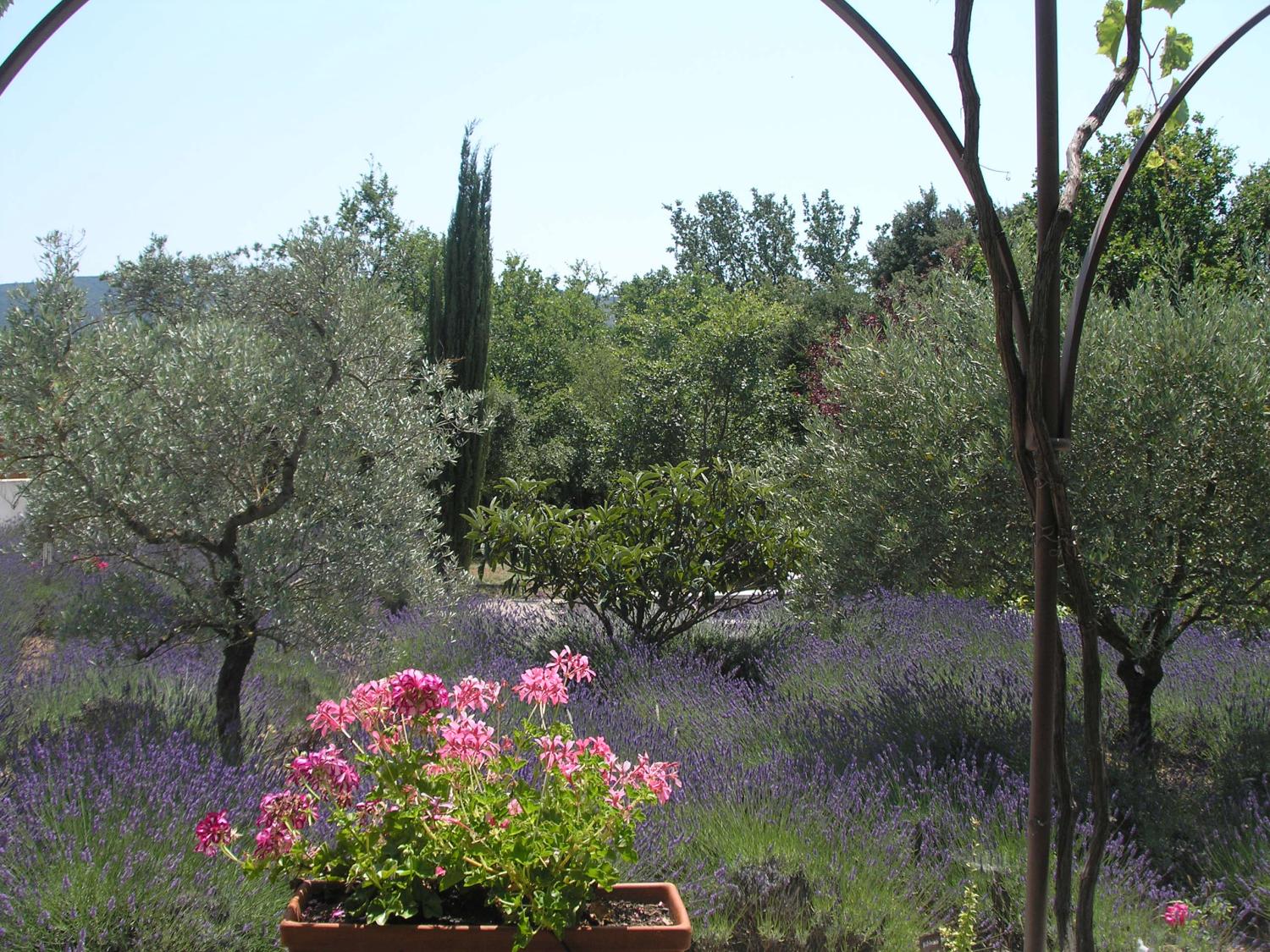  te koop gîtes/ chambres d'hôtes Lacoste Vaucluse 4
