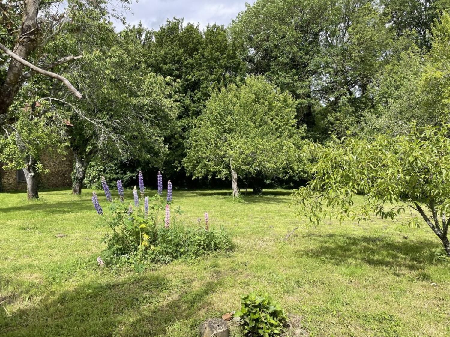  te koop huis Saint-Genest-sur-Roselle Haute-Vienne 6