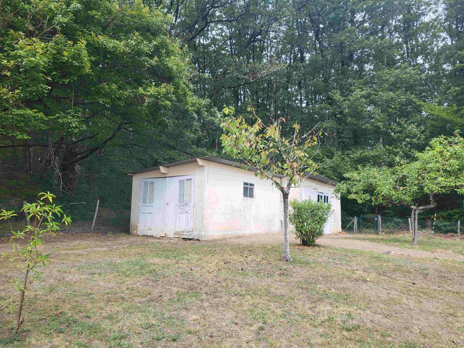  te koop huis Saint-Honoré-Les-Bains Nièvre 3