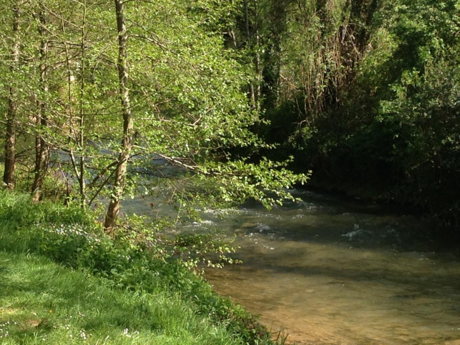  te koop dorpshuis Puycelci Tarn 13