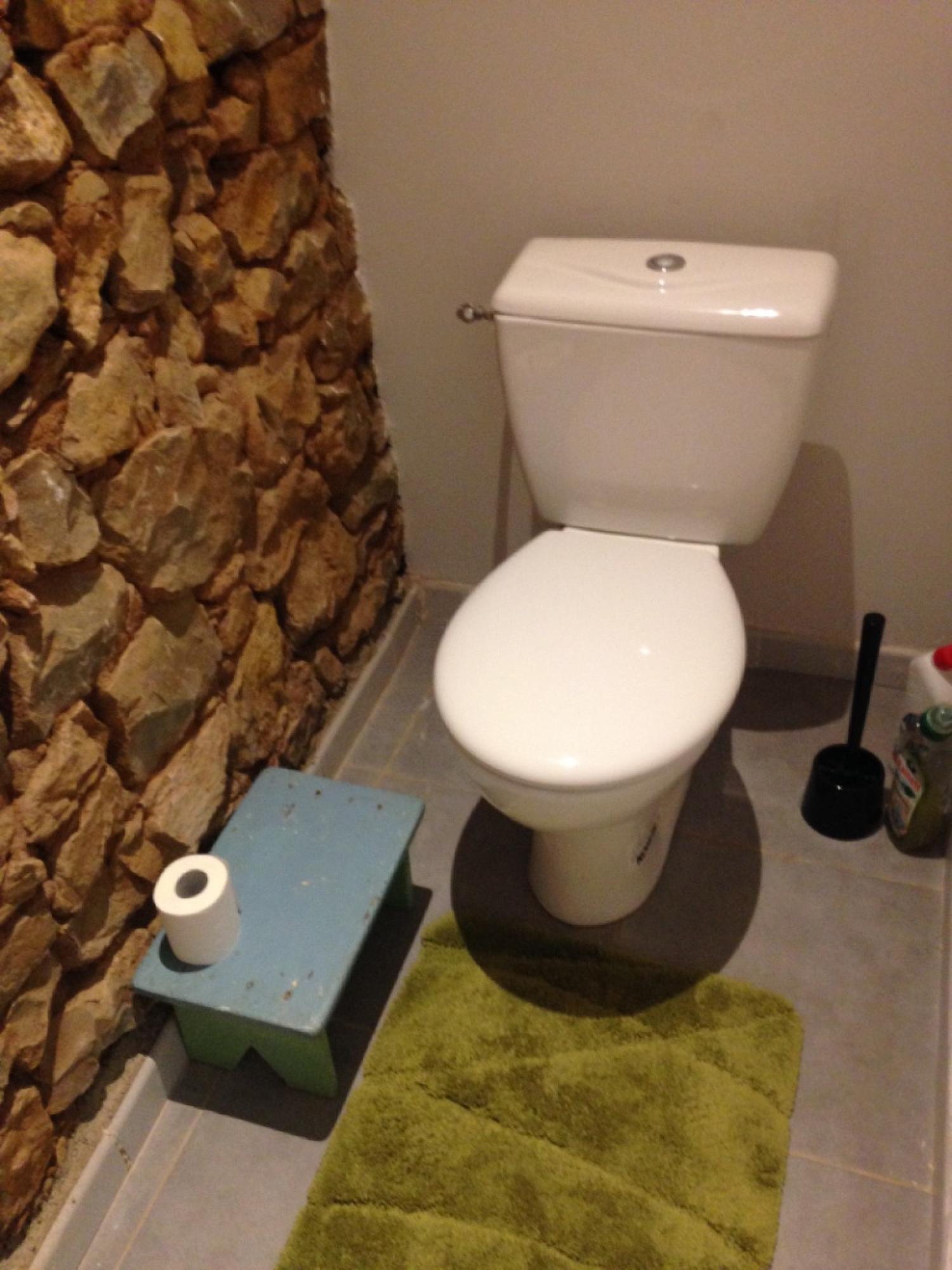  te koop dorpshuis Puycelci Tarn 9