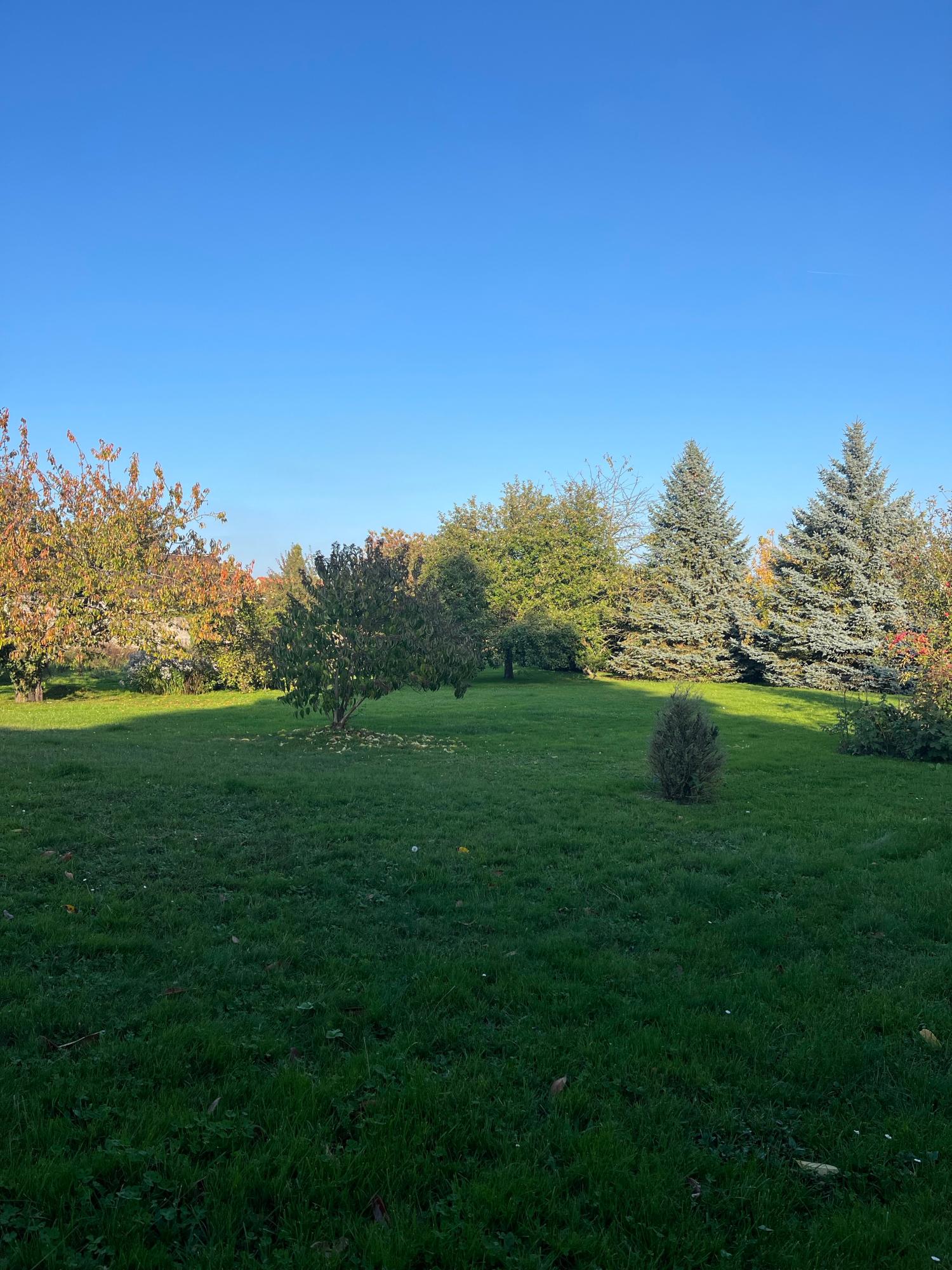 te koop vrijstaand La Houssaye-en-Brie Seine-et-Marne 10