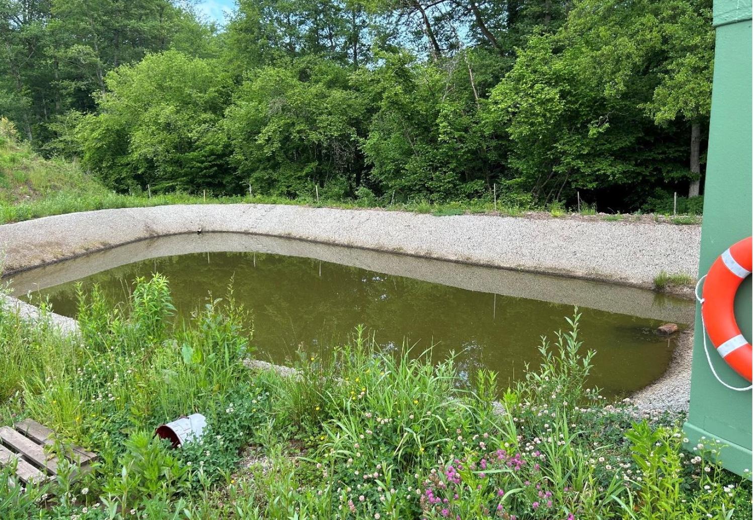 te koop terrein Waldhambach Bas-Rhin 9