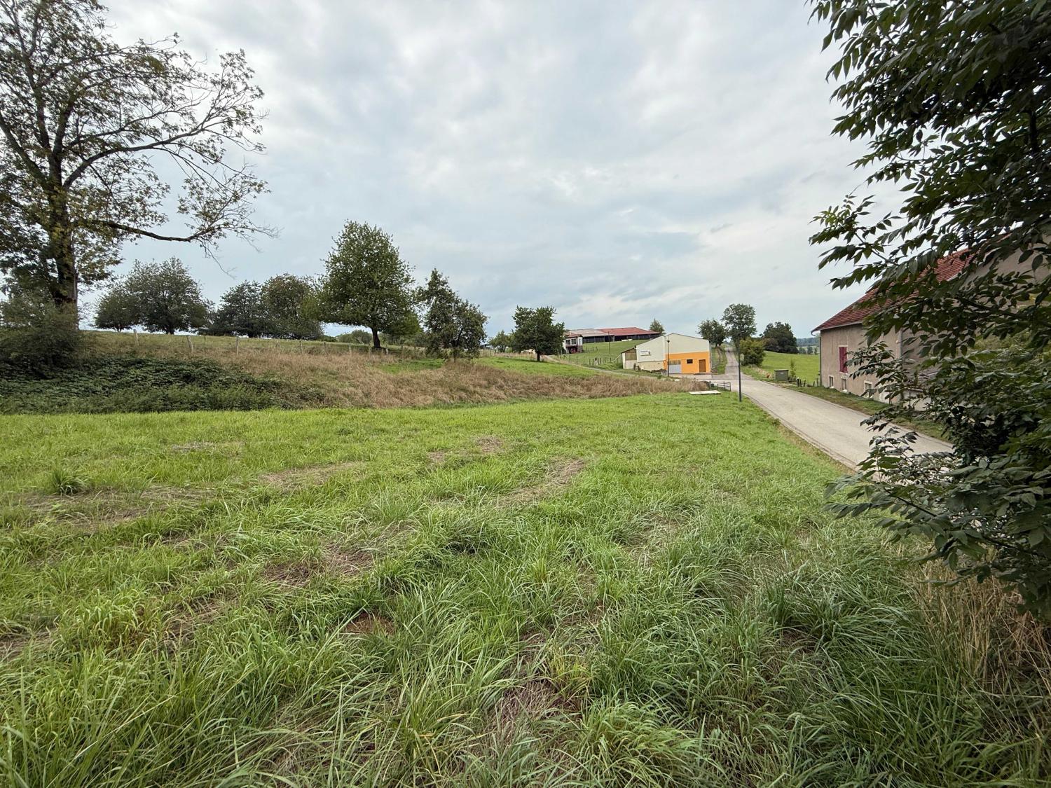 te koop klooster Châtillon-sur-Saône Vogezen 45