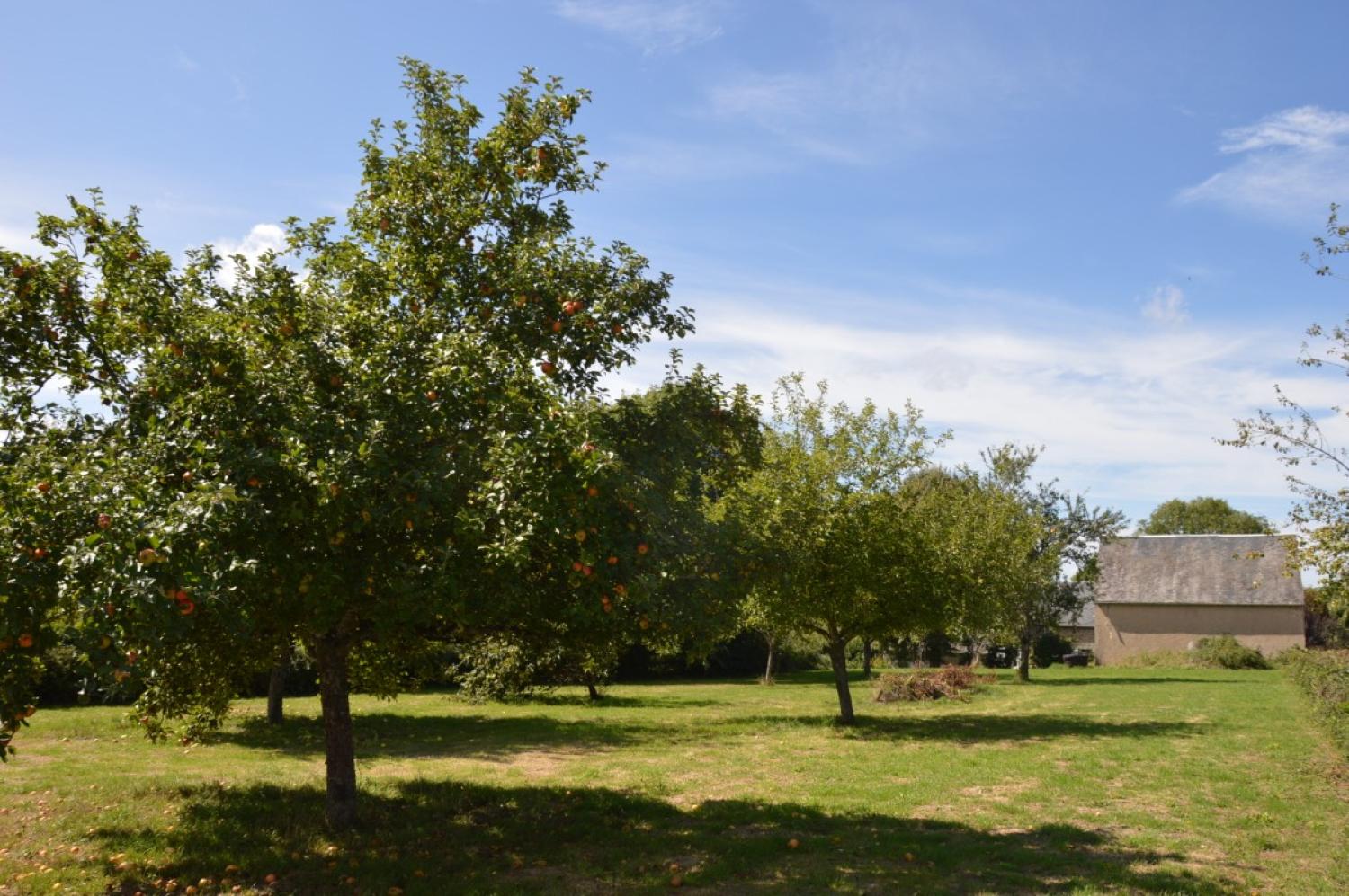  te koop vrijstaand Aunay-en-Bazois Nièvre 4