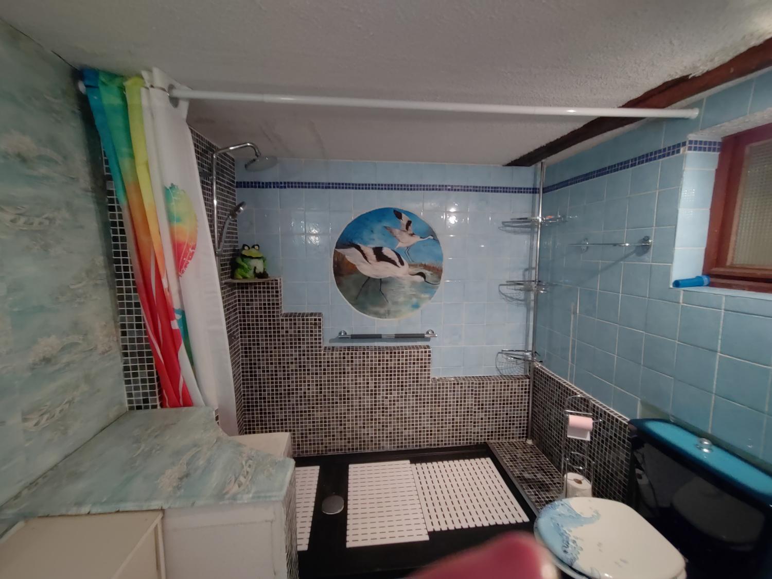  te koop vrijstaand La Lanterne-et-les-Armonts Haute-Saône 13