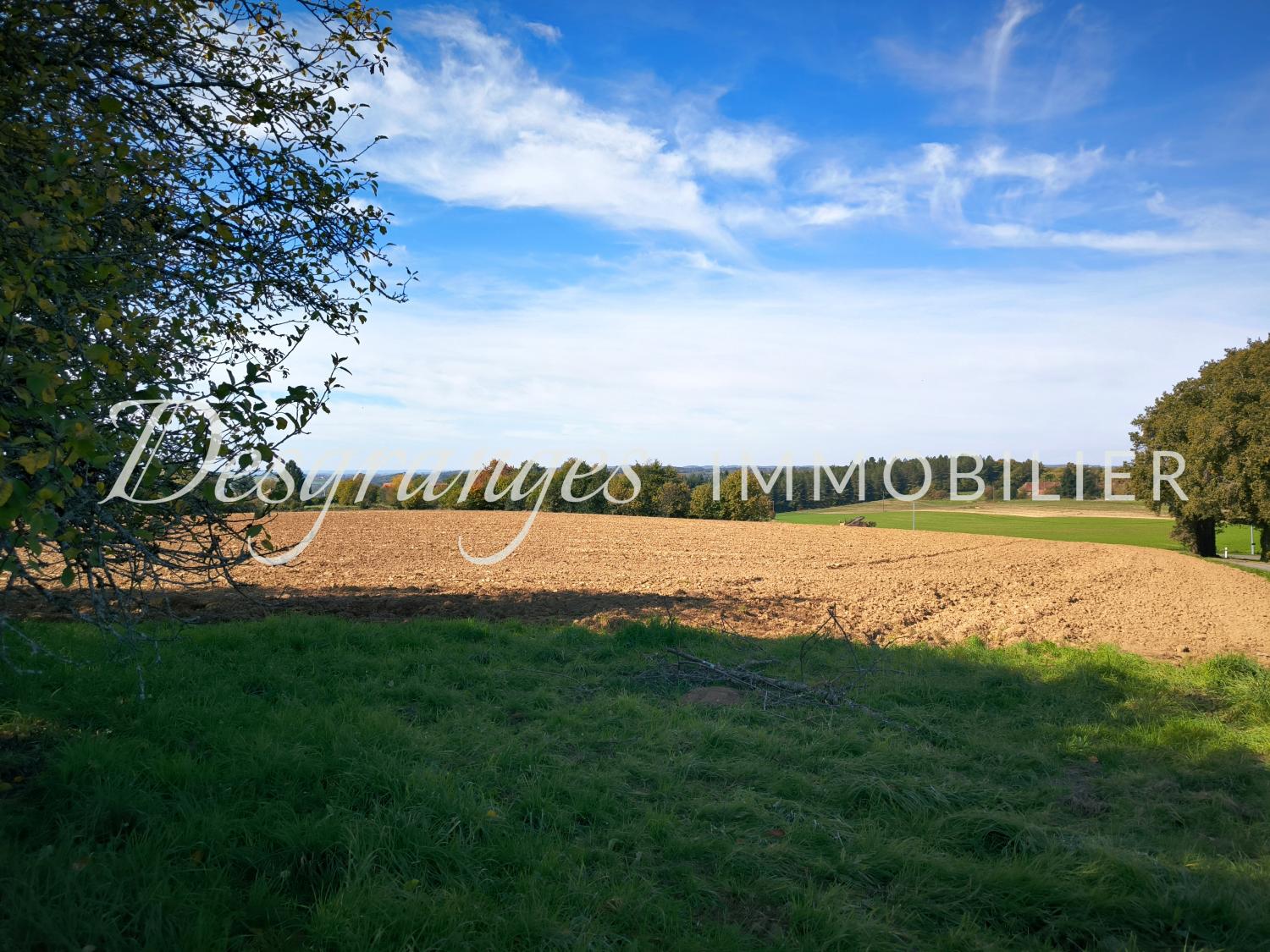 te koop vrijstaand Génis Dordogne 20