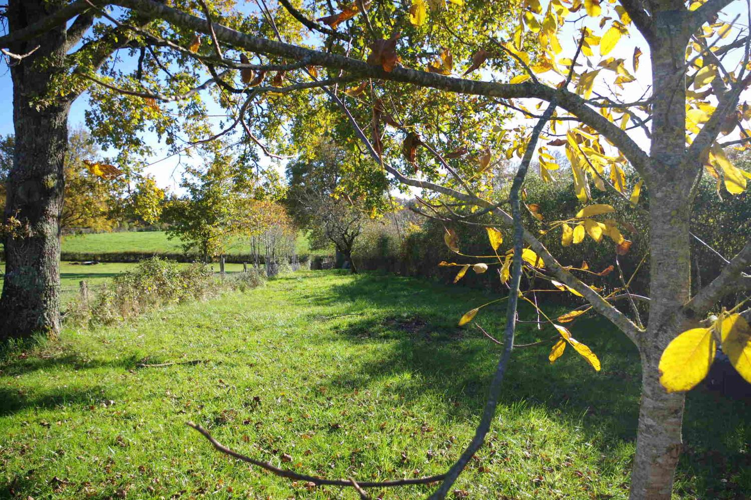  te koop huis Vandenesse Nièvre 2