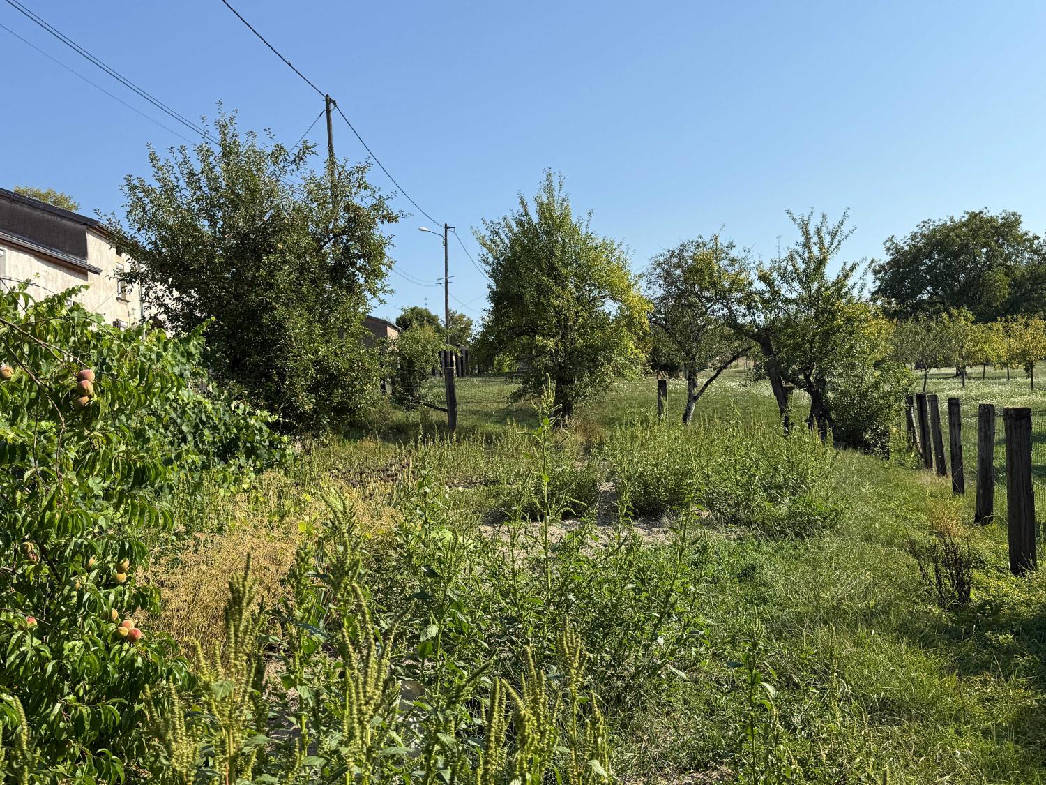 te koop dorpshuis Enfonvelle Haute-Marne 20