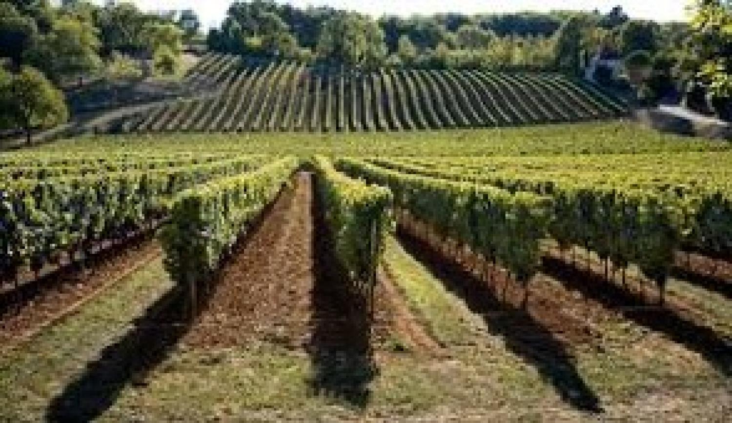  te koop landgoed Valeilles Tarn-et-Garonne 44