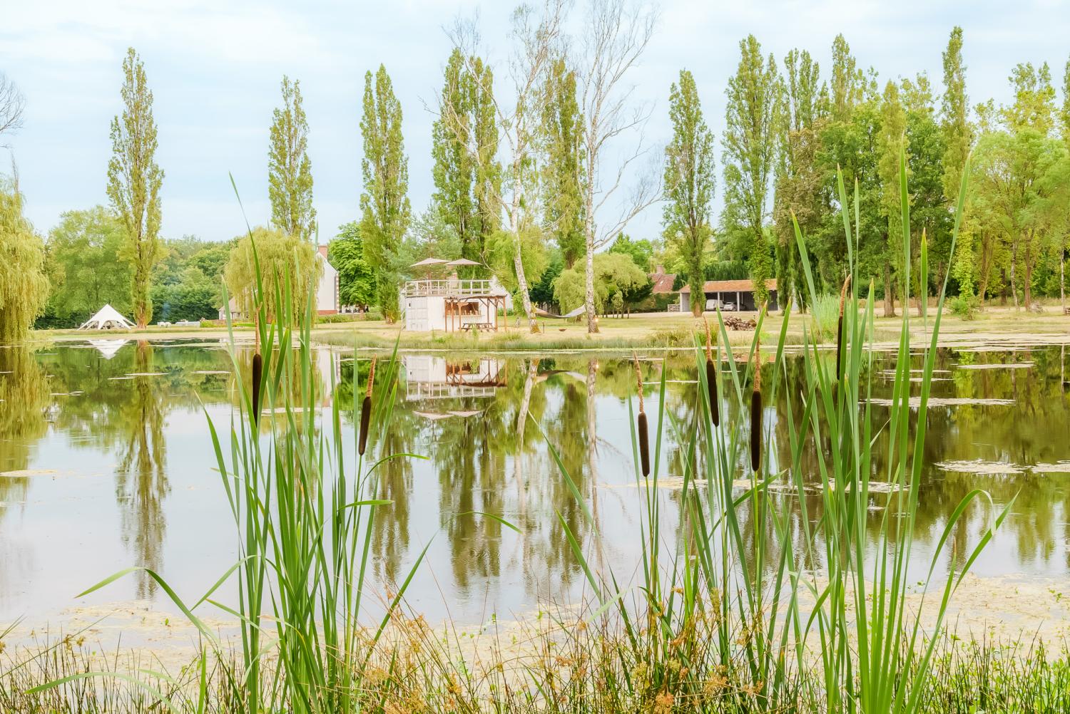 te koop villa Langon Loir-et-Cher 34