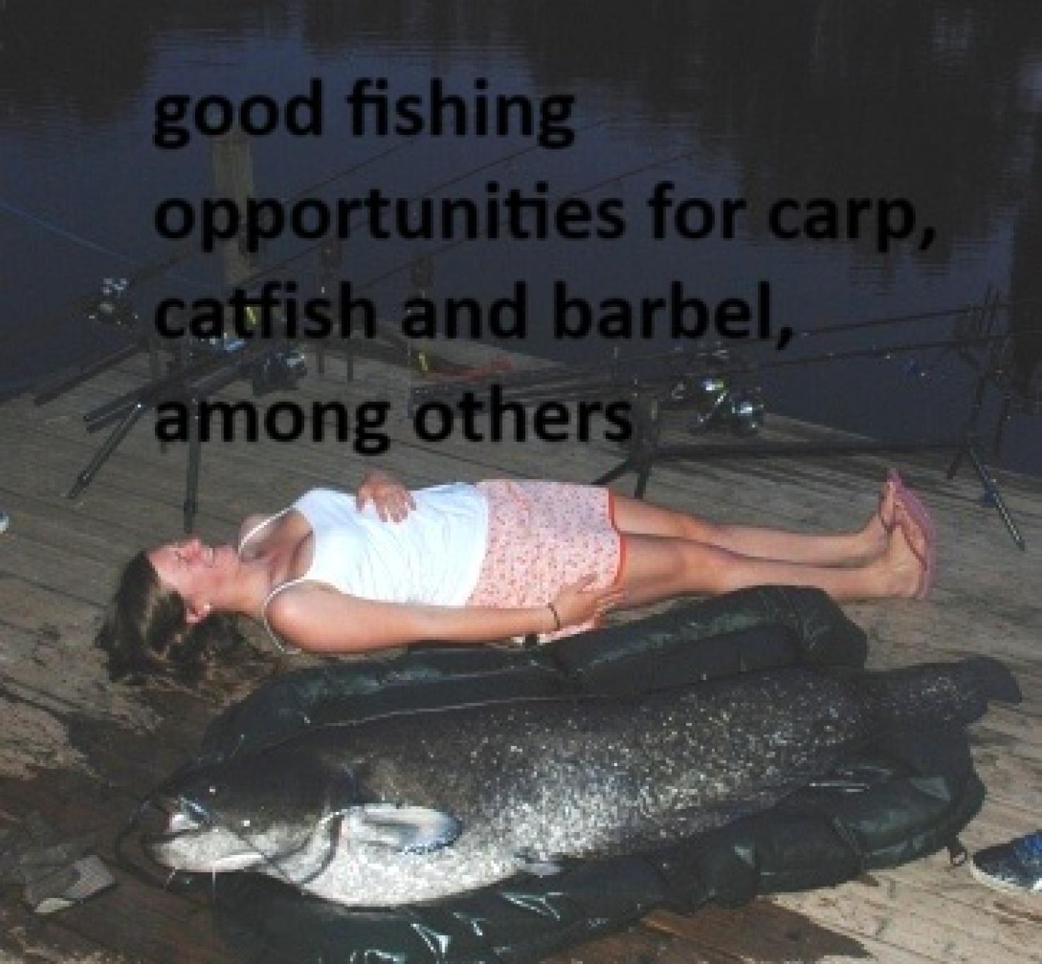  te koop huis met gîte Puy-l'Évêque Lot 36